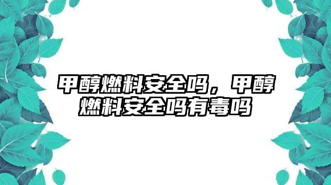 甲醇燃料安全嗎，甲醇燃料安全嗎有毒嗎