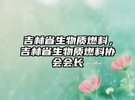 吉林省生物質(zhì)燃料，吉林省生物質(zhì)燃料協(xié)會(huì)會(huì)長(zhǎng)