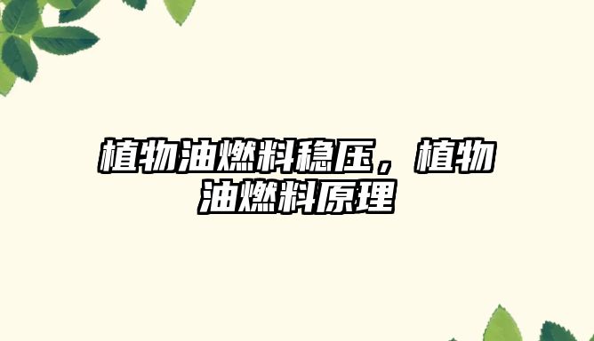 植物油燃料穩(wěn)壓，植物油燃料原理