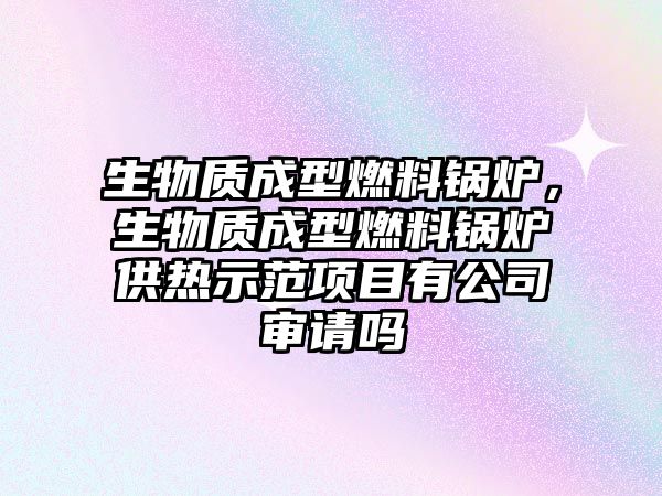 生物質(zhì)成型燃料鍋爐，生物質(zhì)成型燃料鍋爐供熱示范項目有公司審請嗎