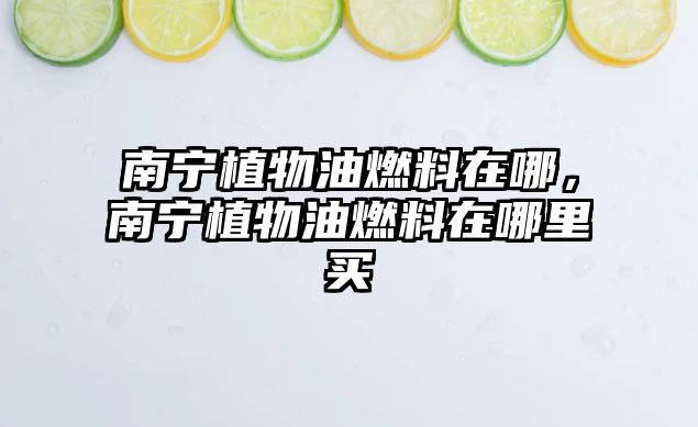 南寧植物油燃料在哪，南寧植物油燃料在哪里買