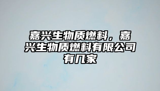 嘉興生物質(zhì)燃料，嘉興生物質(zhì)燃料有限公司有幾家