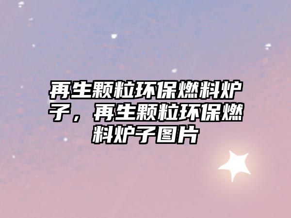 再生顆粒環(huán)保燃料爐子，再生顆粒環(huán)保燃料爐子圖片