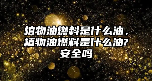 植物油燃料是什么油，植物油燃料是什么油?安全嗎
