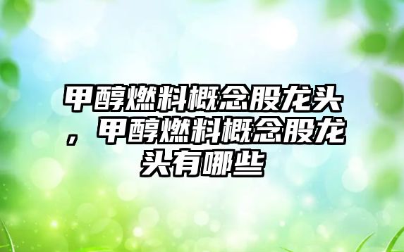 甲醇燃料概念股龍頭，甲醇燃料概念股龍頭有哪些