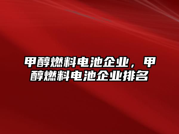 甲醇燃料電池企業(yè)，甲醇燃料電池企業(yè)排名