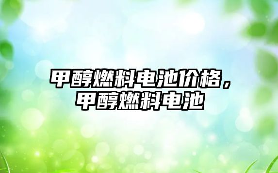 甲醇燃料電池價格，甲醇燃料電池