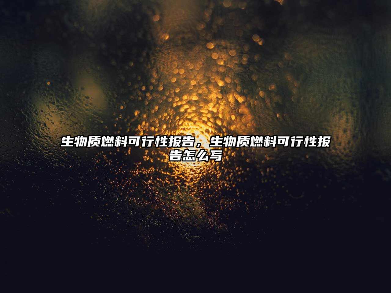 生物質(zhì)燃料可行性報(bào)告，生物質(zhì)燃料可行性報(bào)告怎么寫(xiě)