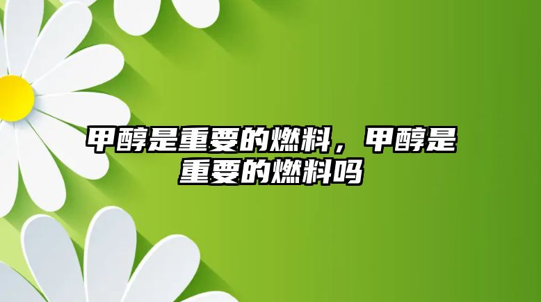 甲醇是重要的燃料，甲醇是重要的燃料嗎