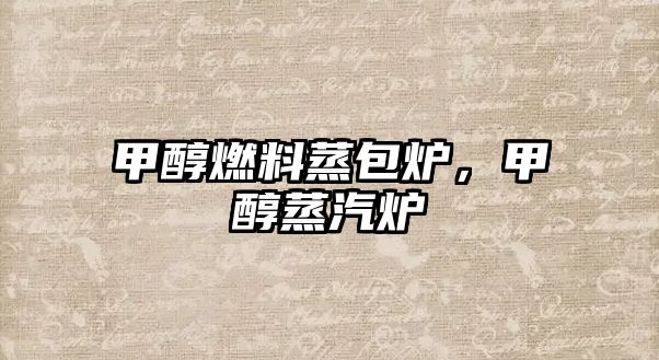 甲醇燃料蒸包爐，甲醇蒸汽爐