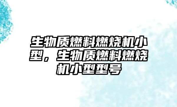 生物質(zhì)燃料燃燒機(jī)小型，生物質(zhì)燃料燃燒機(jī)小型型號