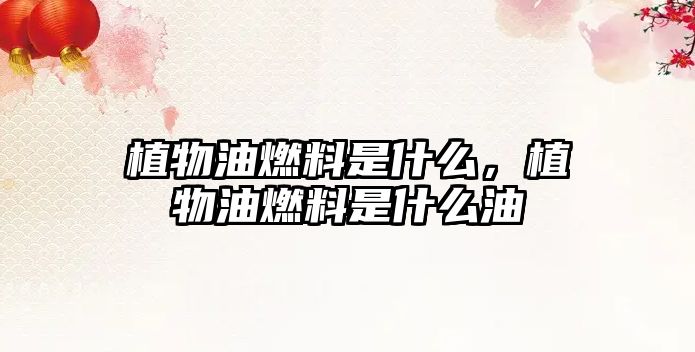 植物油燃料是什么，植物油燃料是什么油