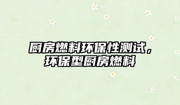 廚房燃料環(huán)保性測試，環(huán)保型廚房燃料