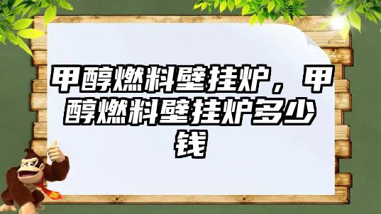 甲醇燃料壁掛爐，甲醇燃料壁掛爐多少錢(qián)