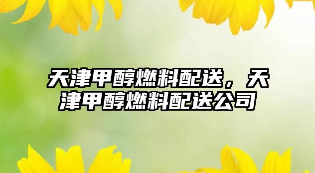 天津甲醇燃料配送，天津甲醇燃料配送公司