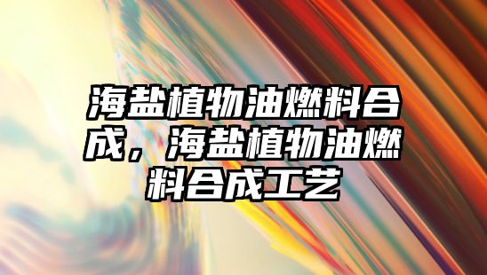 海鹽植物油燃料合成，海鹽植物油燃料合成工藝