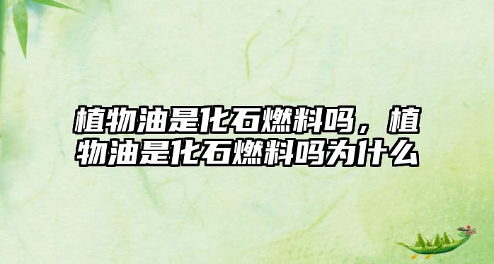 植物油是化石燃料嗎，植物油是化石燃料嗎為什么