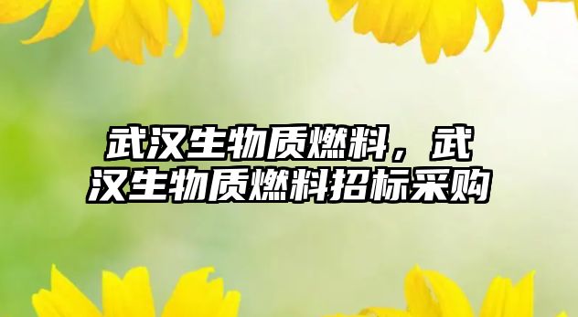 武漢生物質燃料，武漢生物質燃料招標采購