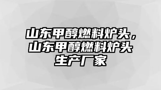 山東甲醇燃料爐頭，山東甲醇燃料爐頭生產(chǎn)廠家