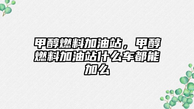 甲醇燃料加油站，甲醇燃料加油站什么車都能加么