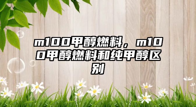 m100甲醇燃料，m100甲醇燃料和純甲醇區(qū)別