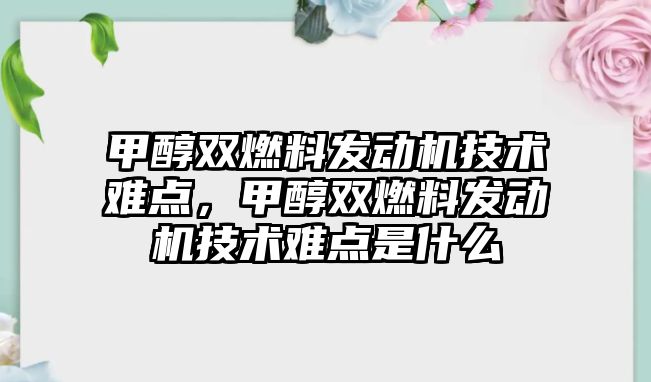 甲醇雙燃料發(fā)動(dòng)機(jī)技術(shù)難點(diǎn)，甲醇雙燃料發(fā)動(dòng)機(jī)技術(shù)難點(diǎn)是什么