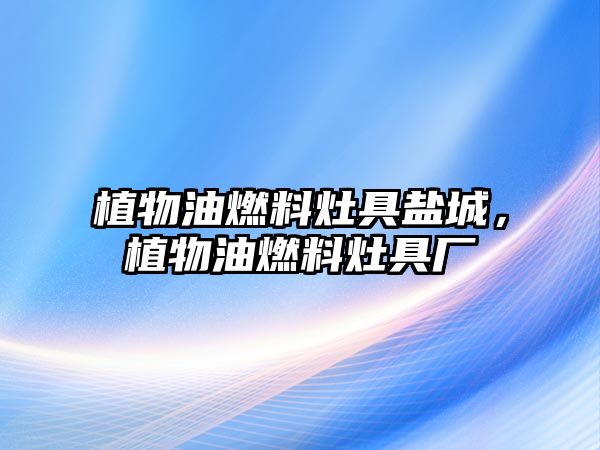 植物油燃料灶具鹽城，植物油燃料灶具廠