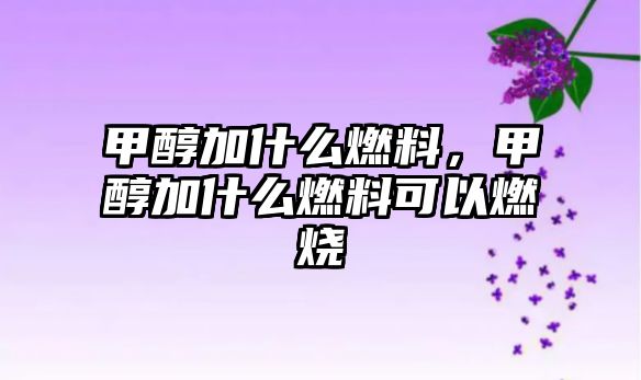 甲醇加什么燃料，甲醇加什么燃料可以燃燒