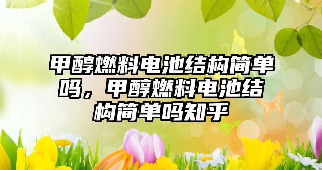 甲醇燃料電池結(jié)構(gòu)簡(jiǎn)單嗎，甲醇燃料電池結(jié)構(gòu)簡(jiǎn)單嗎知乎