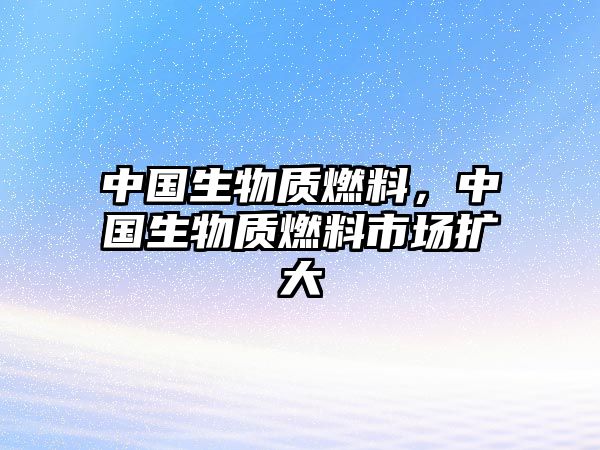中國生物質(zhì)燃料，中國生物質(zhì)燃料市場擴(kuò)大