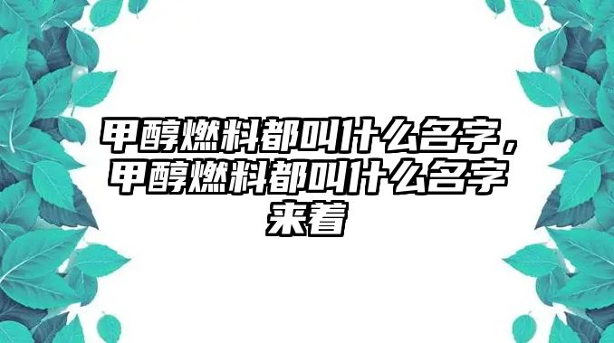 甲醇燃料都叫什么名字，甲醇燃料都叫什么名字來著