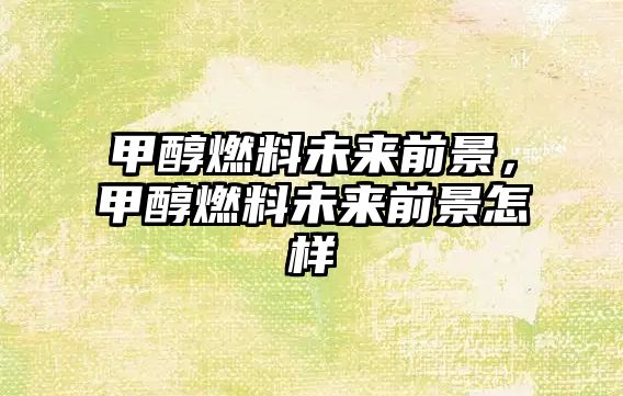 甲醇燃料未來(lái)前景，甲醇燃料未來(lái)前景怎樣