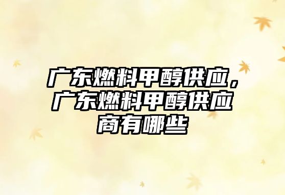 廣東燃料甲醇供應(yīng)，廣東燃料甲醇供應(yīng)商有哪些