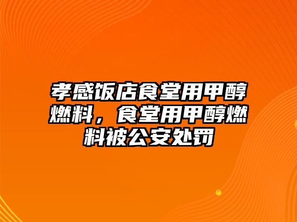 孝感飯店食堂用甲醇燃料，食堂用甲醇燃料被公安處罰
