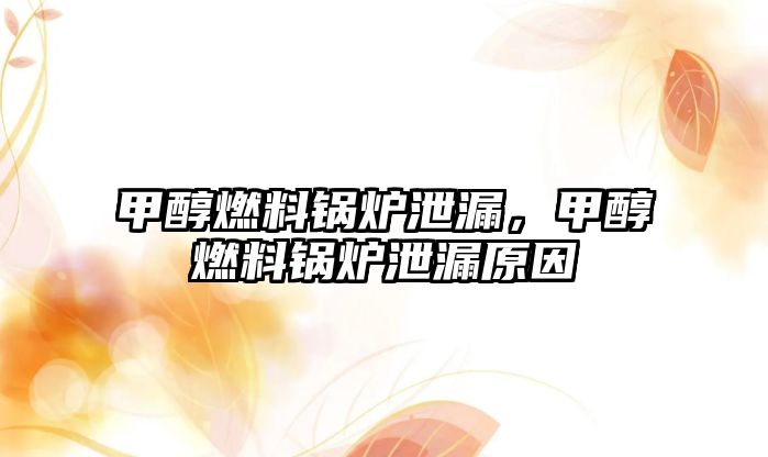 甲醇燃料鍋爐泄漏，甲醇燃料鍋爐泄漏原因