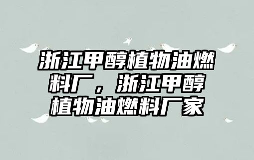 浙江甲醇植物油燃料廠，浙江甲醇植物油燃料廠家