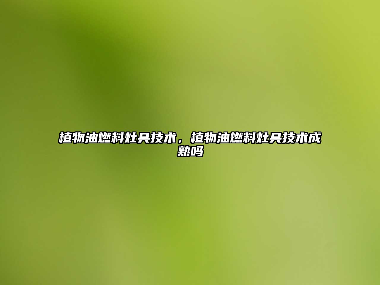 植物油燃料灶具技術，植物油燃料灶具技術成熟嗎