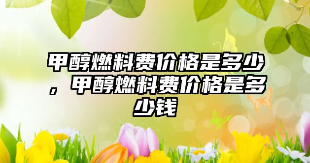 甲醇燃料費(fèi)價(jià)格是多少，甲醇燃料費(fèi)價(jià)格是多少錢