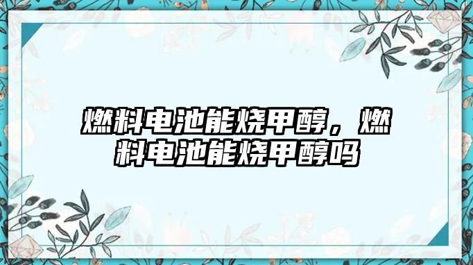 燃料電池能燒甲醇，燃料電池能燒甲醇嗎