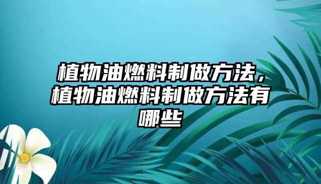 植物油燃料制做方法，植物油燃料制做方法有哪些