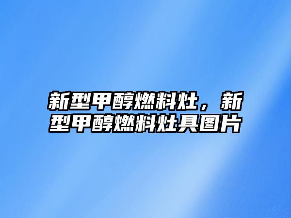 新型甲醇燃料灶，新型甲醇燃料灶具圖片