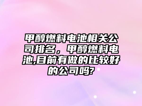 甲醇燃料電池相關(guān)公司排名，甲醇燃料電池,目前有做的比較好的公司嗎?