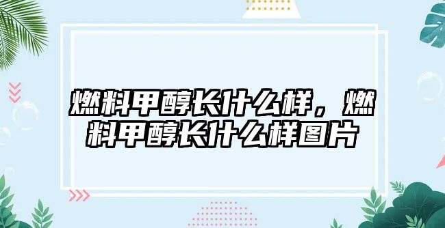 燃料甲醇長什么樣，燃料甲醇長什么樣圖片