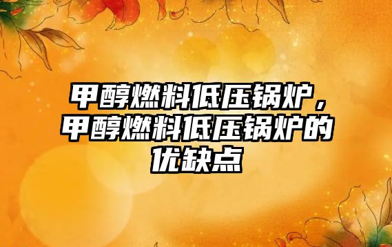 甲醇燃料低壓鍋爐，甲醇燃料低壓鍋爐的優(yōu)缺點