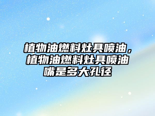 植物油燃料灶具噴油，植物油燃料灶具噴油嘴是多大孔徑