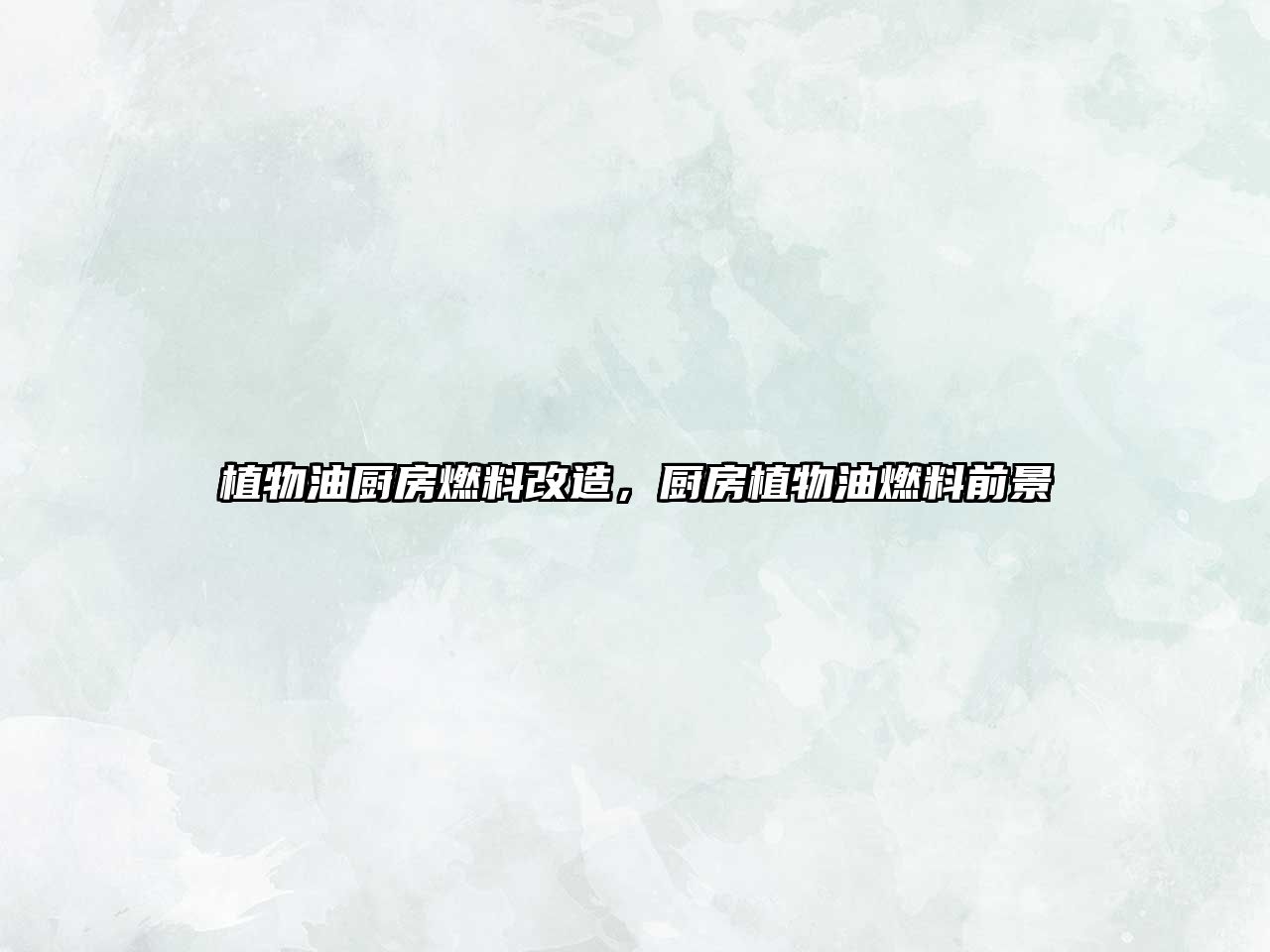 植物油廚房燃料改造，廚房植物油燃料前景