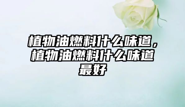 植物油燃料什么味道，植物油燃料什么味道最好