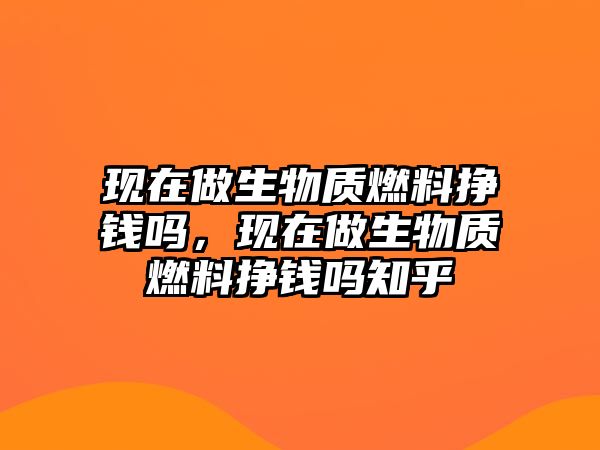 現(xiàn)在做生物質(zhì)燃料掙錢嗎，現(xiàn)在做生物質(zhì)燃料掙錢嗎知乎