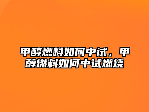 甲醇燃料如何中試，甲醇燃料如何中試燃燒