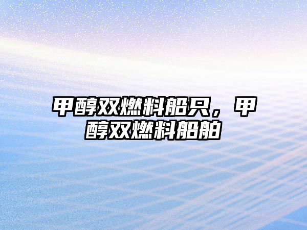 甲醇雙燃料船只，甲醇雙燃料船舶